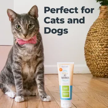 Oxyfresh Pet Toothpaste für Haustiere, 113 g, 1 Stück