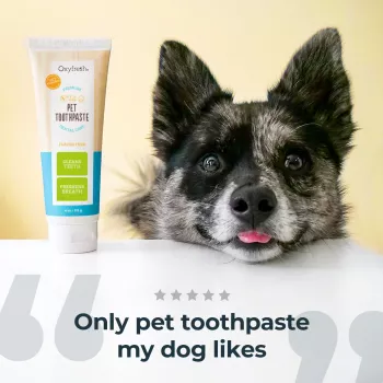 Oxyfresh Pet Toothpaste für Haustiere, 113 g, 1 Stück