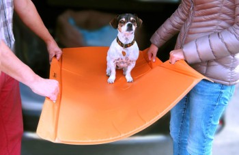 VETFORM OP-Tischauflage, 4 Griffe, orange/schwarz, je 1 Stück