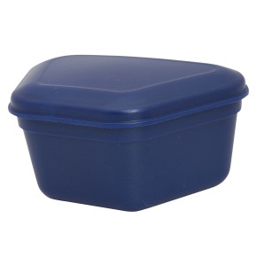 Zirc Prothesenbox, Denture Box, farblich, je 12 Stück